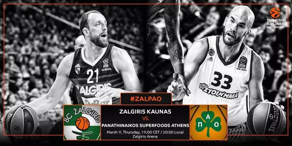 欧篮联倒计时，法兰克福集结日伤情更新，细节引发关注，目标明确，身体对抗强度拉满的简单介绍九游